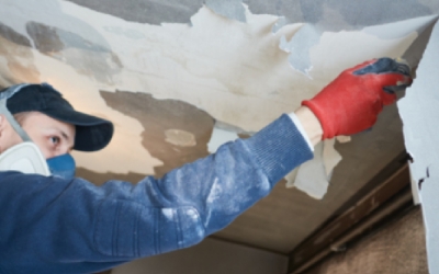 WorkSafe Victoria highlights lead-based paint removal safety measures